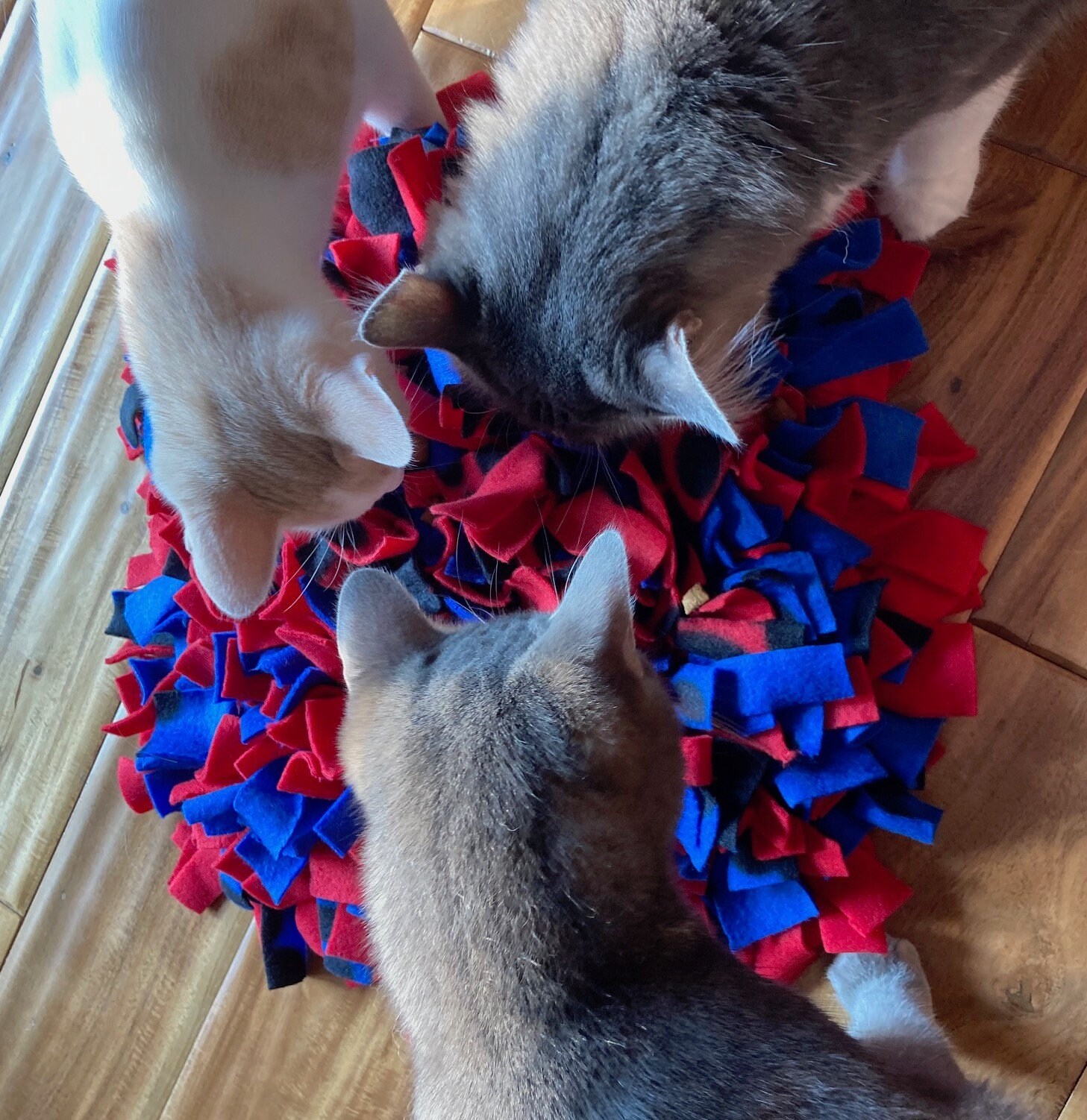 Snuffle Mat for Cats and Dogs Etsy