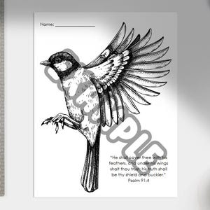 May include: Black and white illustration of a bird with outstretched wings, with the text "He shall cover thee with his feathers, and under his wings shalt thou trust; his truth shall be thy shield and buckler." Psalm 91:4.