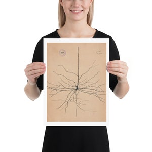 K&ouml;nnte beinhalten: Eine Vintage-wissenschaftliche Illustration eines Neurons, einer Nervenzelle, mit einer detaillierten Zeichnung seiner Dendriten und seines Axons. Die Illustration ist auf cremefarbenem Papier mit einem runden Stempel in der oberen linken Ecke gedruckt.