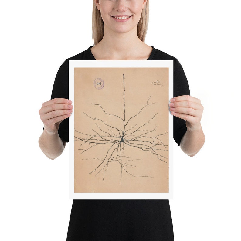 K&ouml;nnte beinhalten: Eine Vintage-wissenschaftliche Illustration eines Neurons, einer Nervenzelle, mit einer detaillierten Zeichnung seiner Dendriten und seines Axons. Die Illustration ist auf cremefarbenem Papier mit einem runden Stempel in der oberen linken Ecke gedruckt.