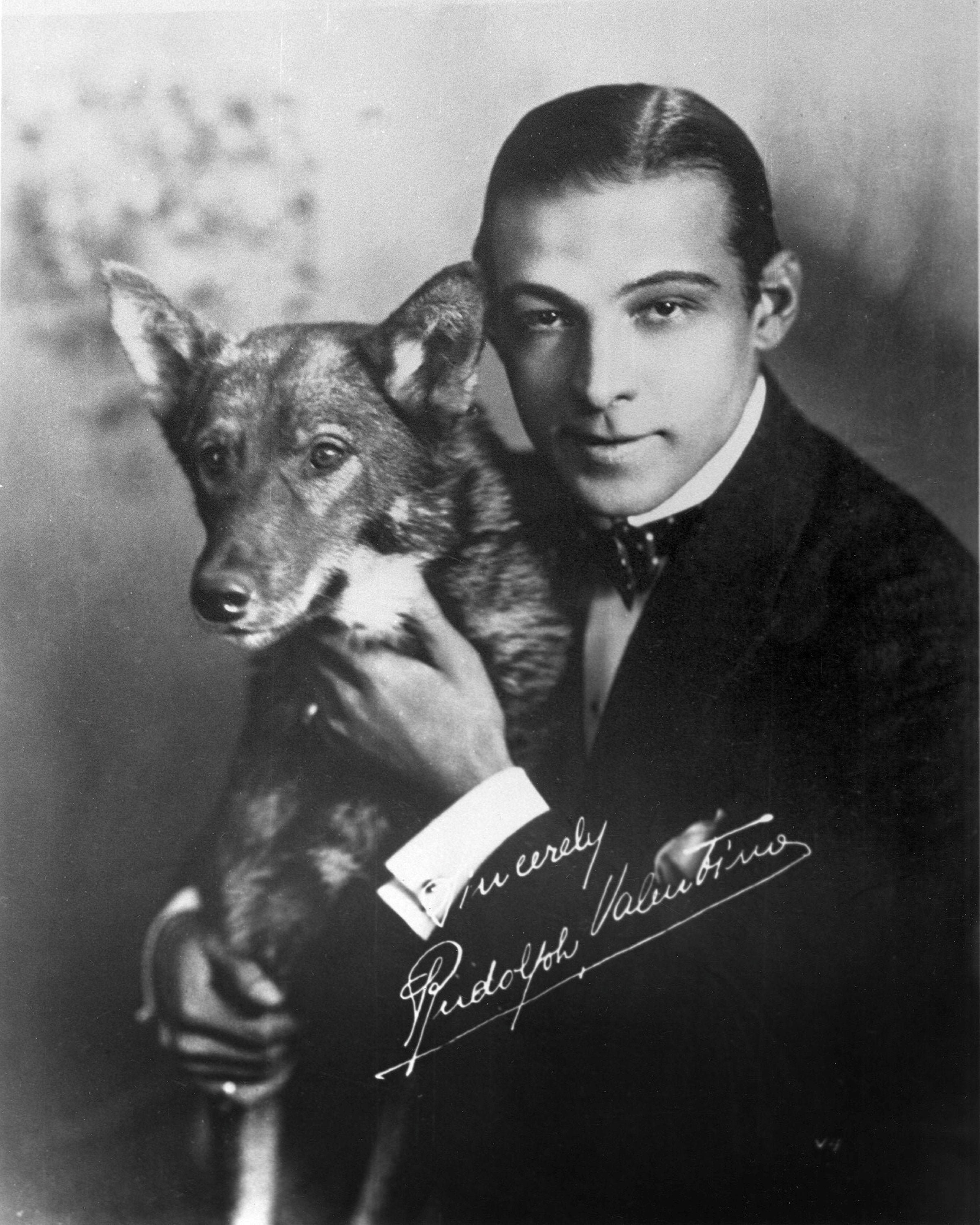 Sag afbalanceret modtage Rudolph Valentino With His Dog 1921. Vintage Wall Decor Print - Etsy Denmark