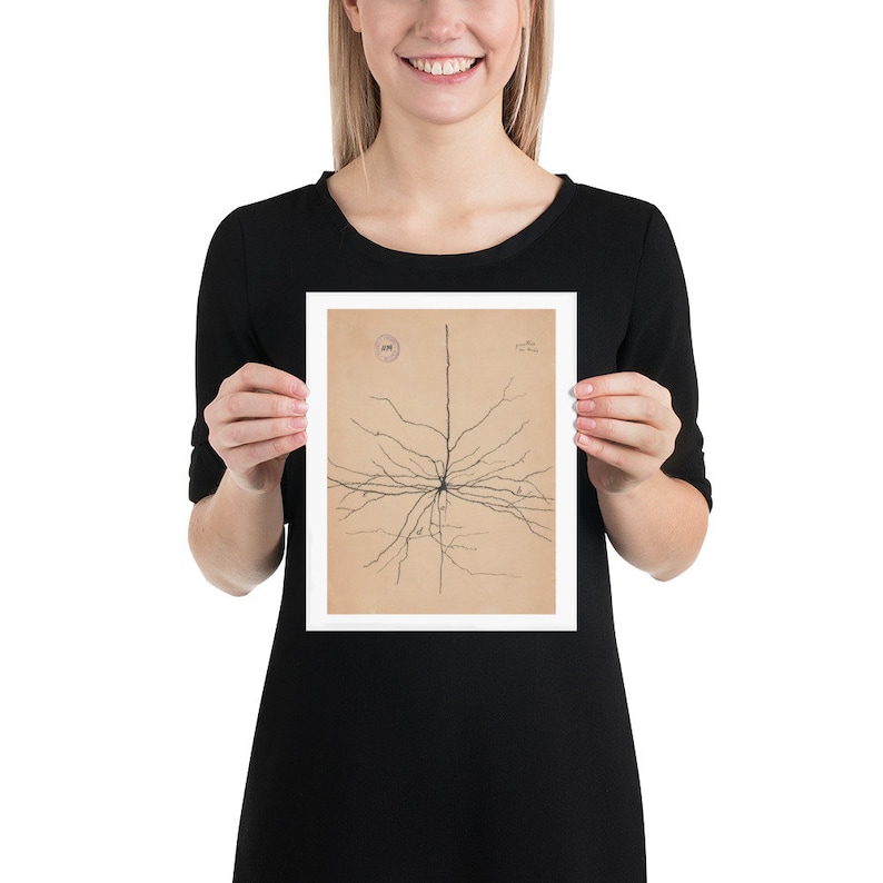 K&ouml;nnte beinhalten: Eine gerahmte Schwarzwei&szlig;illustration eines Neurons, einer Art Nervenzelle, mit einer detaillierten Zeichnung seiner Dendriten und seines Axons. Die Illustration befindet sich auf einem cremefarbenen Hintergrund mit einem kleinen Kreis in der oberen linken Ecke.