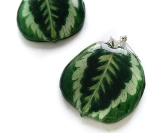 Mini Calathea Medallion leaf dangle stud earrings