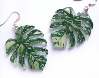 Thai Constellation Variegated Monstera deliciosa leaf mismatched dangle earrings