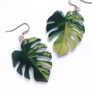 Variegated Monstera deliciosa aurea leaf mismatched dangle earrings