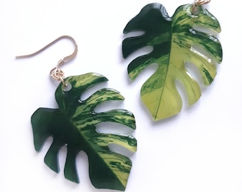 Variegated Monstera deliciosa aurea leaf mismatched dangle earrings