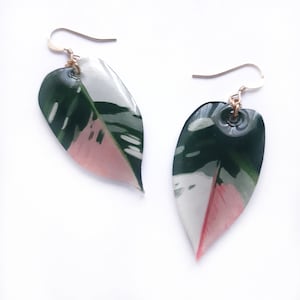 Tricolour White Princess Philodendron Variegated Leaf Mismatch Pink White Green Earrings