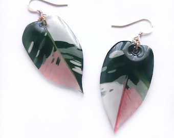 Tricolour White Princess Philodendron Variegated Leaf Mismatch Pink White Green Earrings