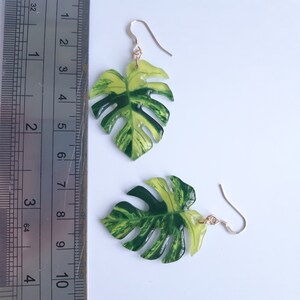 Thai Constellation Variegated Monstera deliciosa leaf mismatched dangle earrings image 5