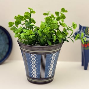 Op de afbeelding: Een decoratieve blauw-wit patroon plantenbak gevuld met groene bladeren. De plantenbak heeft een donkere rand en een gedetailleerd ontwerp. Een blauwe decoratieve schaal en een blauw houten paard staan op de achtergrond.