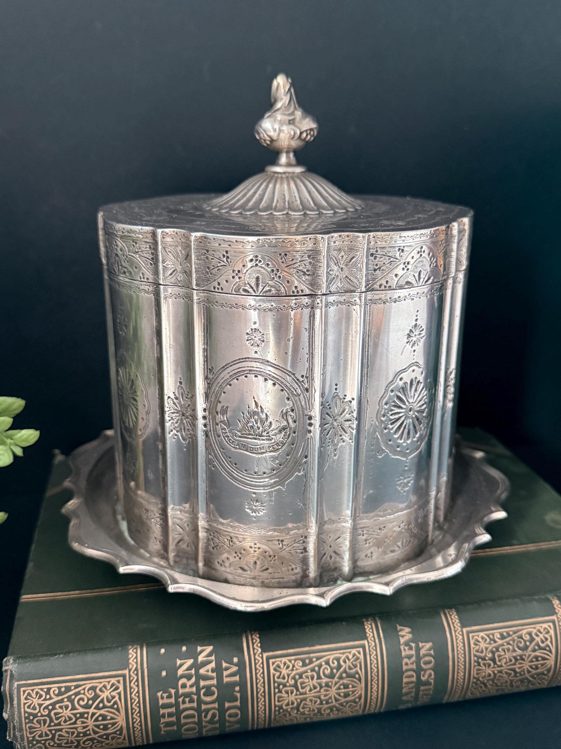 Royal sheffield - Etsy 日本