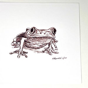 Frog