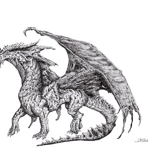 Draak