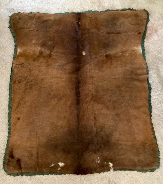 Vintage Horse Blanket 20s / Horsehair and Green / Authentic Etsy
