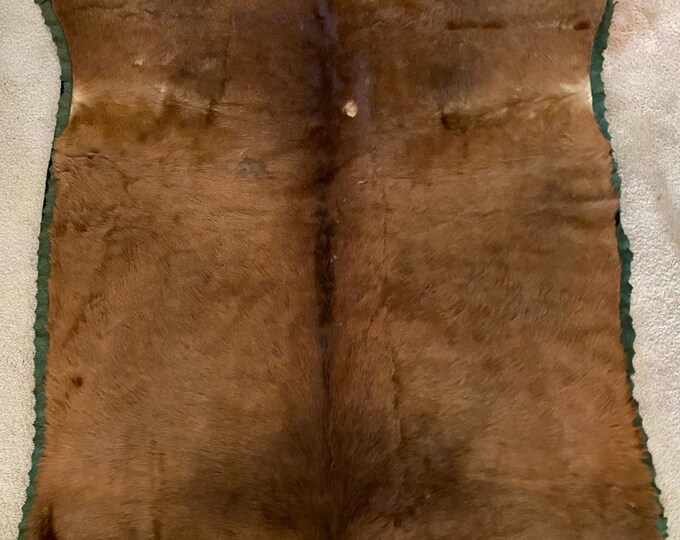 Vintage Horse Blanket 20s / Horsehair and Green / Authentic Horsehair