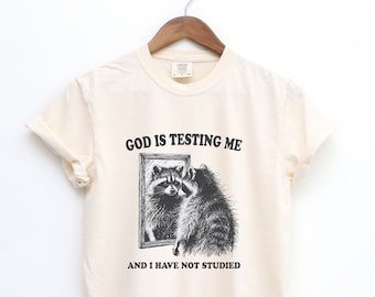 God Is Testing Me, Funny Unisex Tee, Possum T-Shirt, Meme T-Shirt, Trash Panda Shirt, Vintage style Shirt, Raccoon Meme Shirt, Mens Shirt