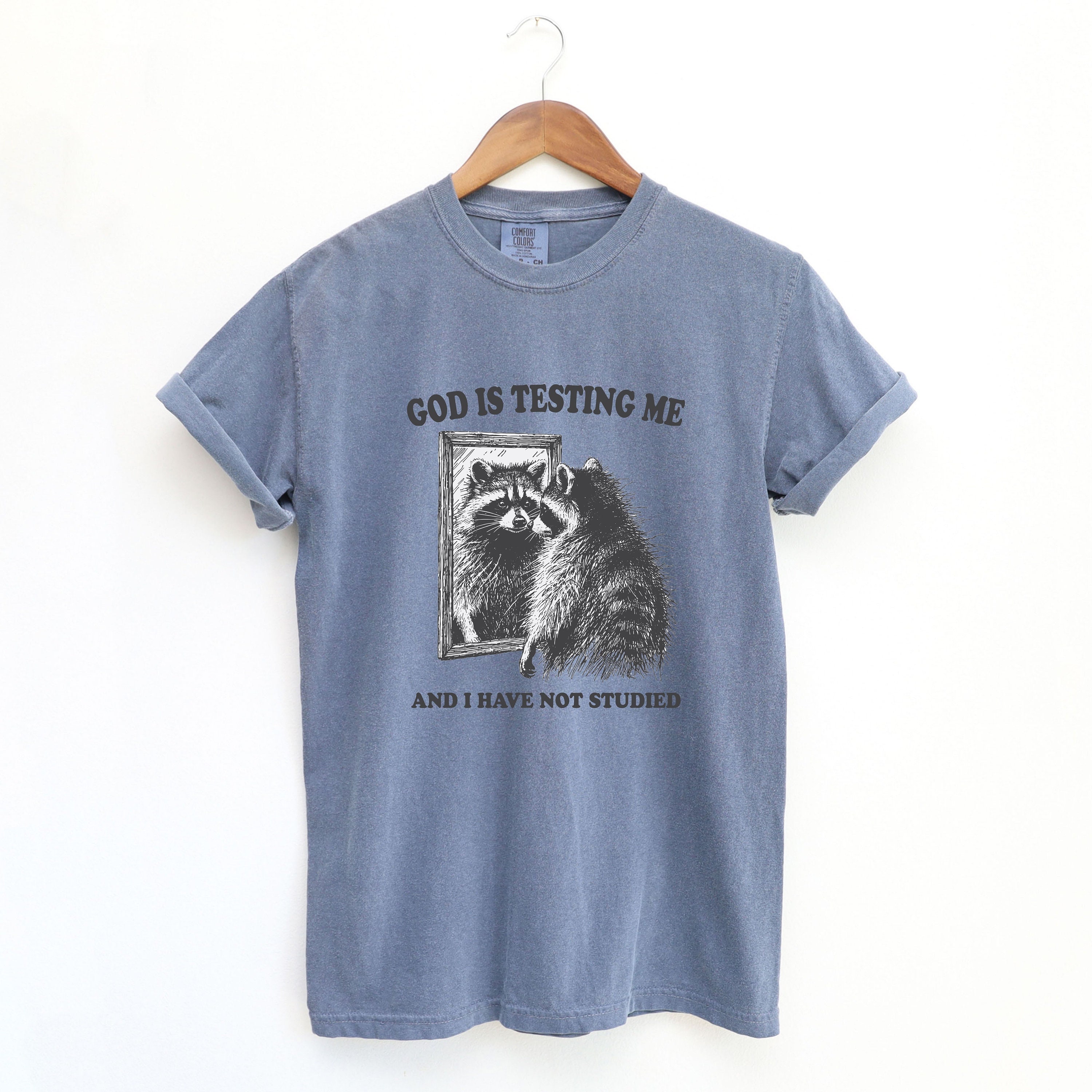 Dios me está probando, camiseta unisex divertida, camiseta possum, camiseta  meme, camisa basura panda, camisa de estilo vintage, camisa meme mapache,  camisa para hombre - Etsy México, image size:3000x3000