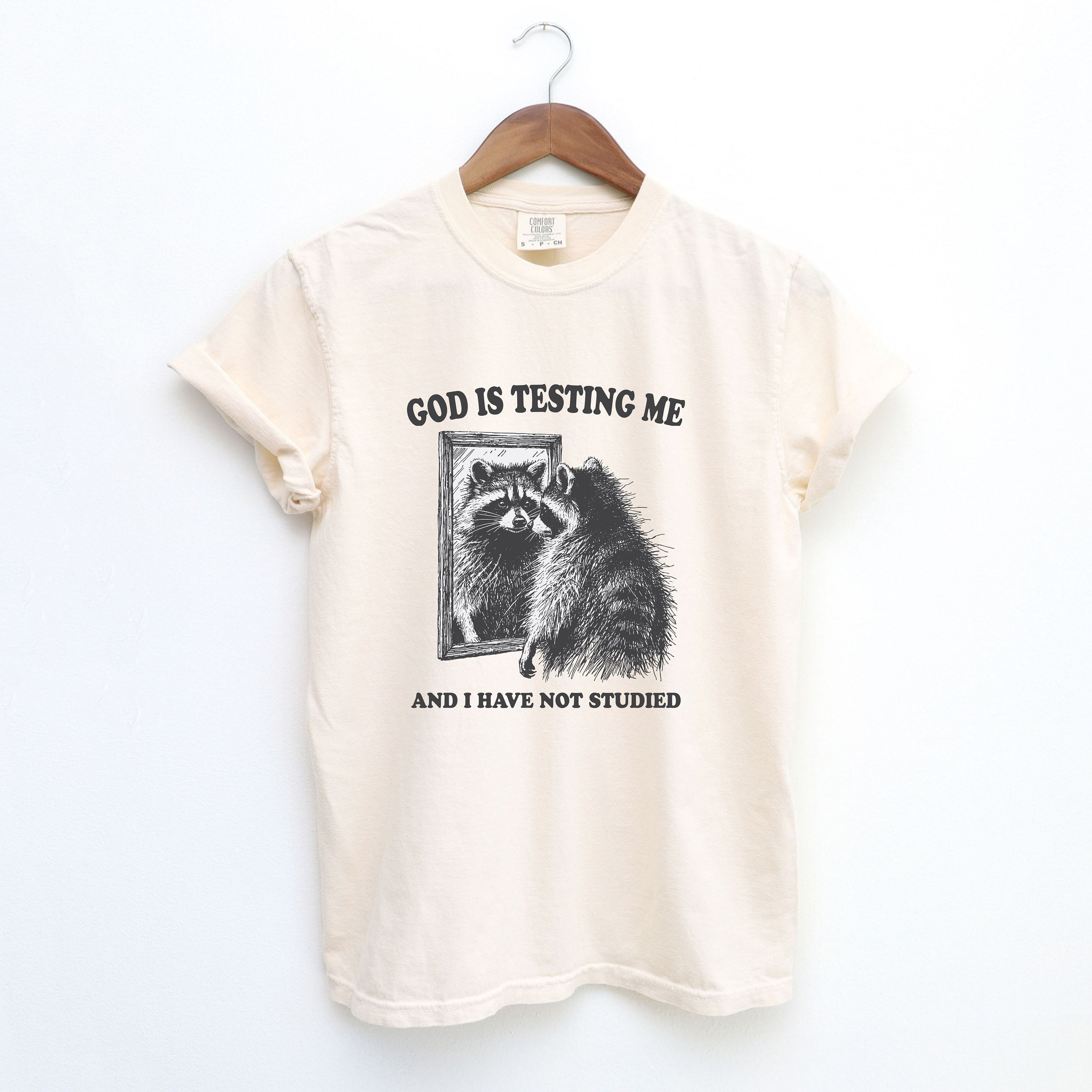 Dios me está probando, camiseta unisex divertida, camiseta possum, camiseta  meme, camisa basura panda, camisa de estilo vintage, camisa meme mapache,  camisa para hombre - Etsy México, image size:3000x3000