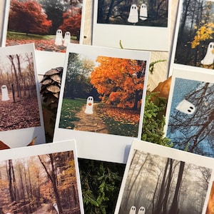 Könnte beinhalten: Eine Sammlung von Polaroid-Prints mit herbstlichen Waldszenen. Jeder Print enthält eine skurrile Geisterillustration. Die Bilder zeigen lebendiges Herbstlaub in Rot-, Orange- und Gelbtönen und erzeugen eine gruselige, aber charmante Ästhetik.