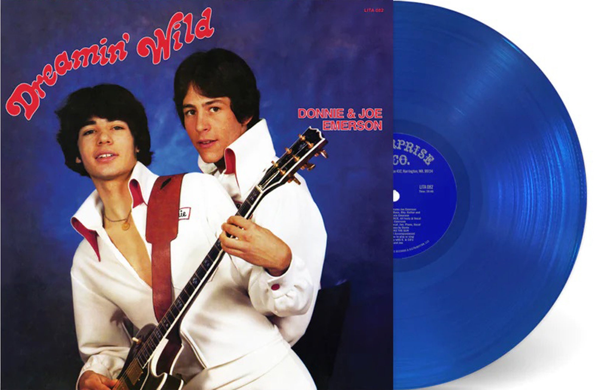 Dreamin' Wild - Blue Vinyl LP Record by Donny & Joe Emerson