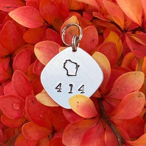 May include: Silver-colored pet tag with a square shape and rounded corners. The tag features an outline of the state of Wisconsin and the number 414. The tag is lying on a bed of red and orange leaves.