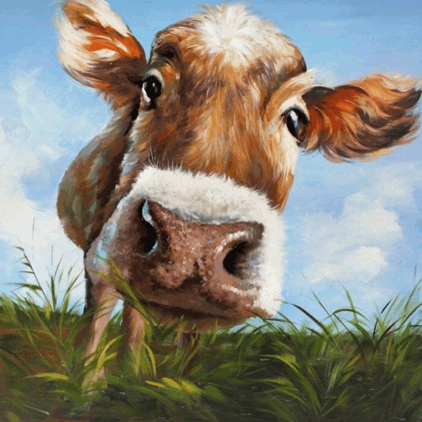 Décoration murale en toile de vache avec gros plan d'animaux de la ferme Nosy - Toile imprimée tendue sur un cadre en pin massif de 18 mm de profondeur - Cadeau idéal prêt à accrocher
