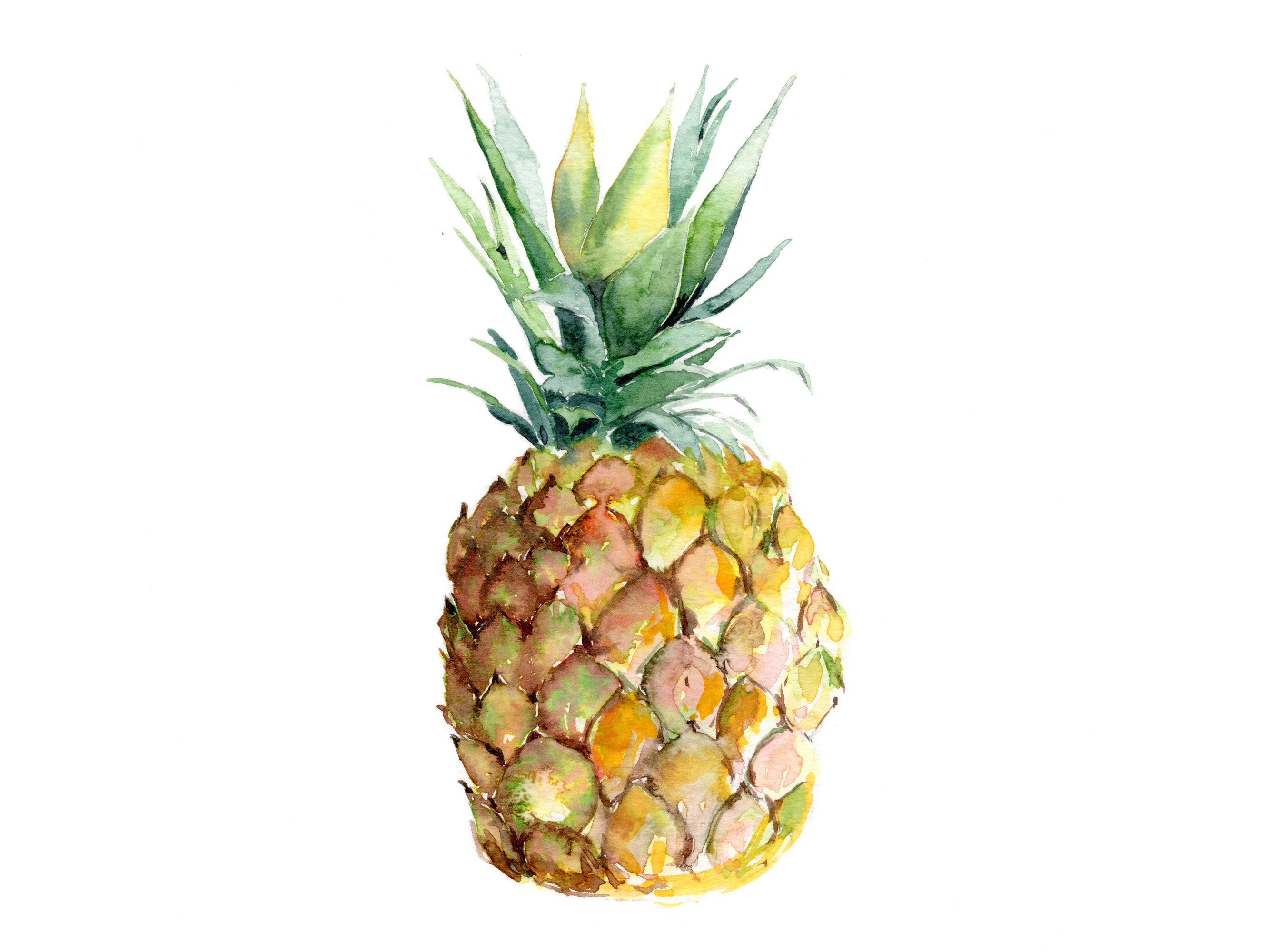 Ananas-Aquarell-Malerei Ananas Kunstdruck Ananas-Kunst | Etsy