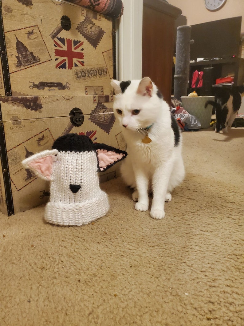 any color Custom cat ear beanie