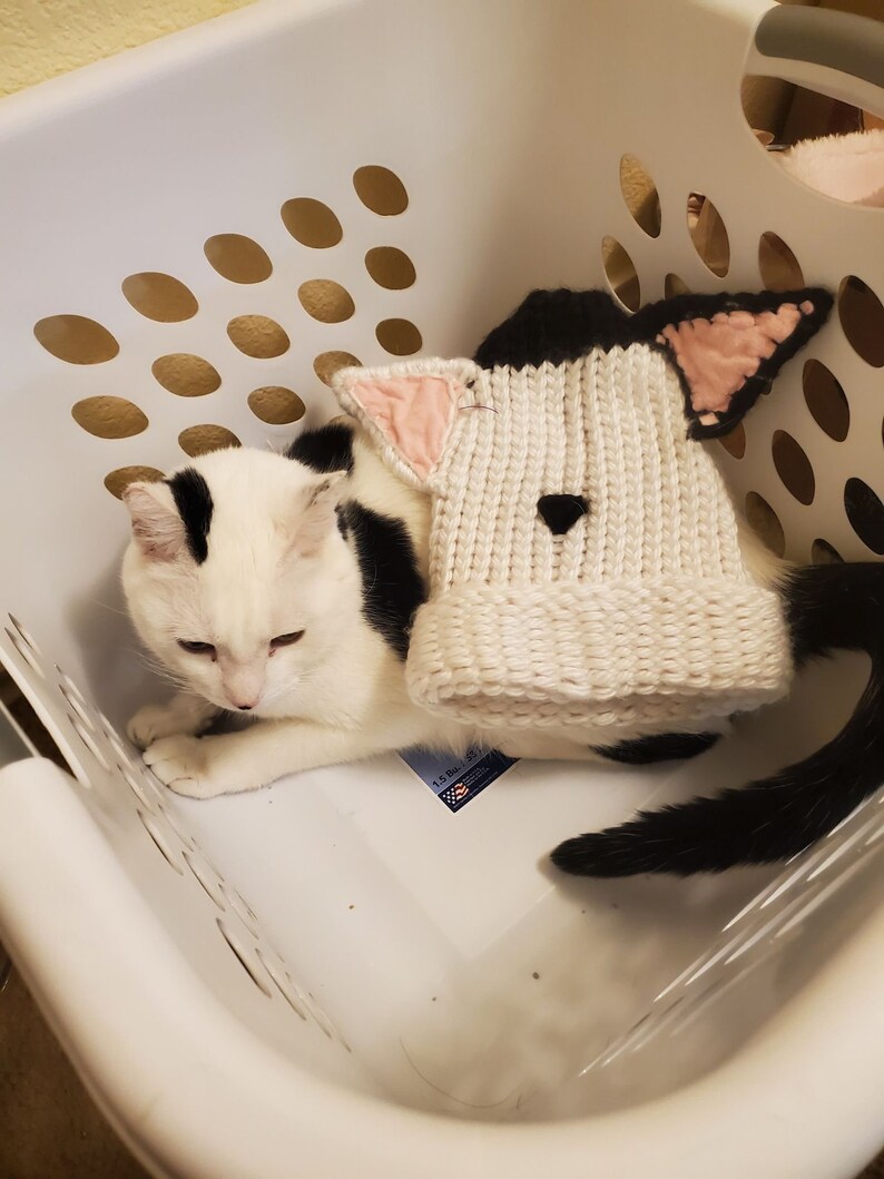 any color Custom cat ear beanie