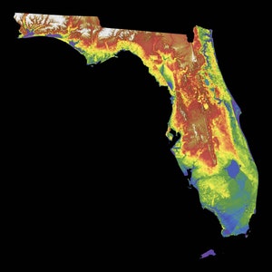 Florida Color Elevation Kaart