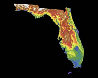 3d Elevation Map Of Florida Florida Topo Map Etsy