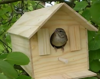 DIY Wooden Birdhouse Kit – Complete Build-It-Yourself Set with Nails Included (1 Count)