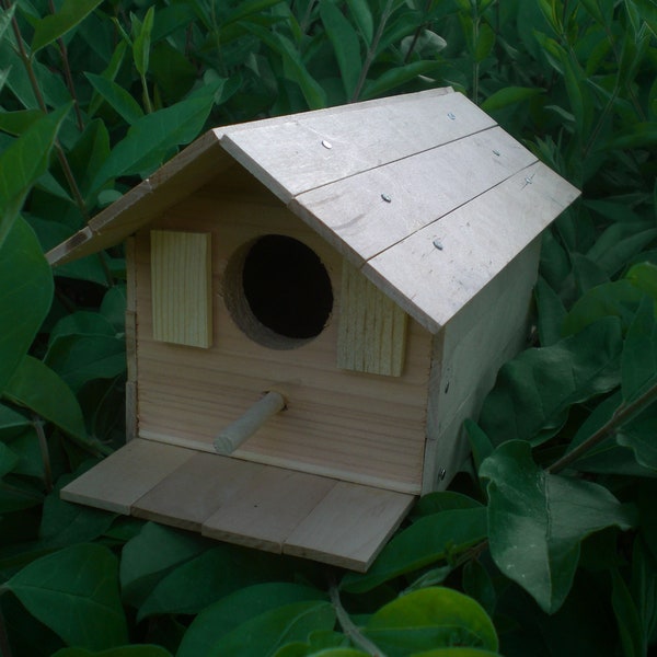 Kit maison d'oiseau en bois avec clous, projet en bois à faire soi-même - cadeaux - jouet d'apprentissage STIM - créations créatives - par enfant de charpentier