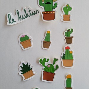 11 Sticker | Aufkleber | Kakteen | Cactus