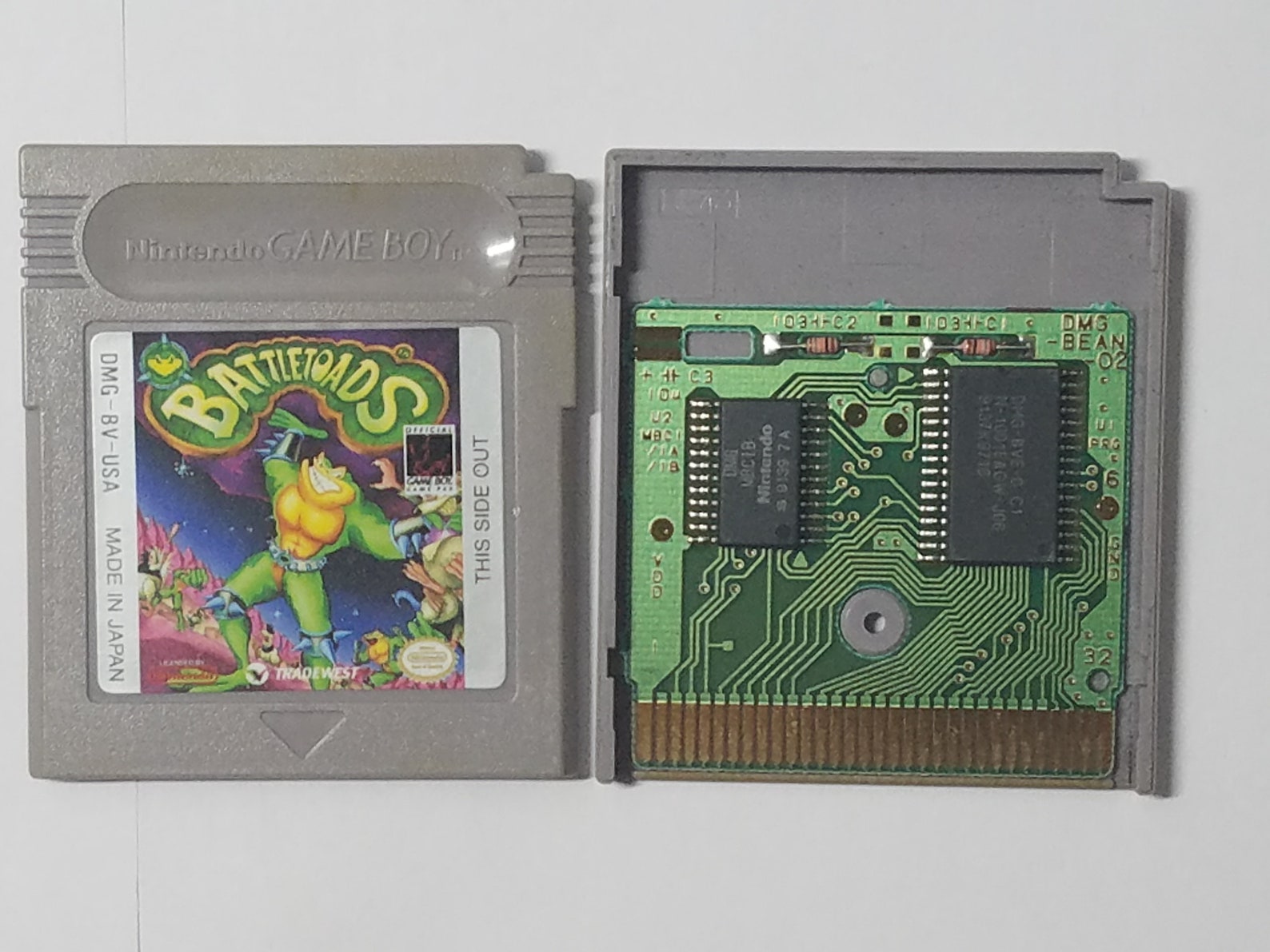 download Battletoads (Game Boy) download Battletoads (Game Boy)