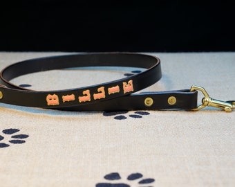 Personalised Leather Dog Lead / Leash - English Bridle Leather (Natural Brass) - Hand-made and Hand-painted