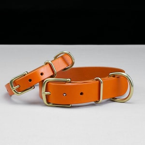 Leather Dog Collar - Carrot Orange English Bridle Leather (Natural Brass)