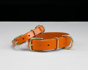 Puede incluir: Dos collares de perro de cuero naranja con herrajes de latón. Los collares son de diferentes tamaños, con el collar más pequeño encima del collar más grande.
