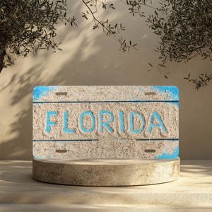 Florida License Plate, Florida Sand Vanity Plate, Personalized License Plate for Beach Lovers, Home Decor, BOHO, Earthy, Ocean Vibes, Coast