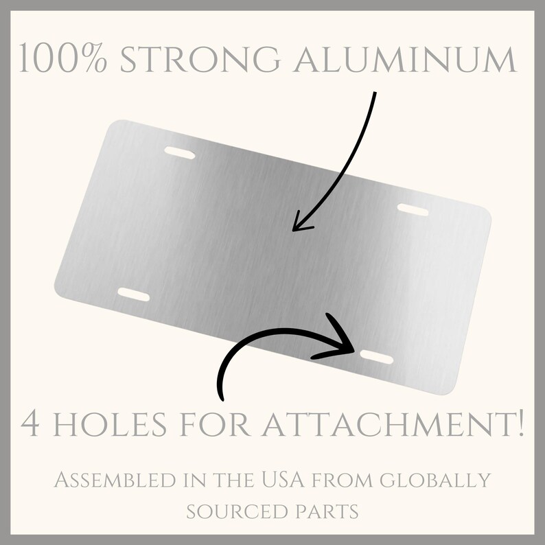 May include: A silver metal license plate blank with four holes for attachment. The plate is made of 100% strong aluminum and assembled in the USA from globally sourced parts.