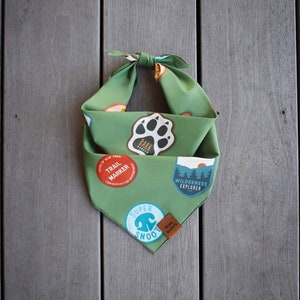 May include: Green dog bandana with various patches, including a paw print, the words "TRAIL MARKER", and "WILDERNESS EXPLORER". The bandana is tied at the top. A small leather tag reads "BEAN SCOUTS".