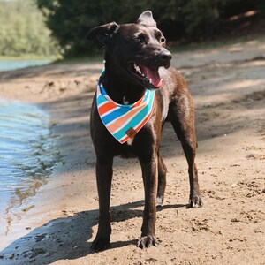 Bark Harbor Dog Bandana Summer Bandana Beach Bandana Tie-on Bandana image 2