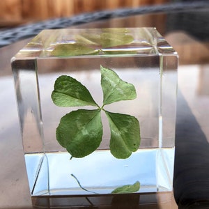 Real Four Leaf Clover Cube, Lucky Clover Objet, Night Light, Gift for Luck, Resin Paperweight, Shamrock, Luck Charm, St. Patrick’s Day gift