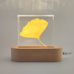 Real Ginkgo Leaf Night Light,  Ginkgo Leaf Resin Paperweight, Natural Gift, Gift for Her, Home Decor, Birthday Gift