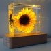 see more listings in the Sunflowers section