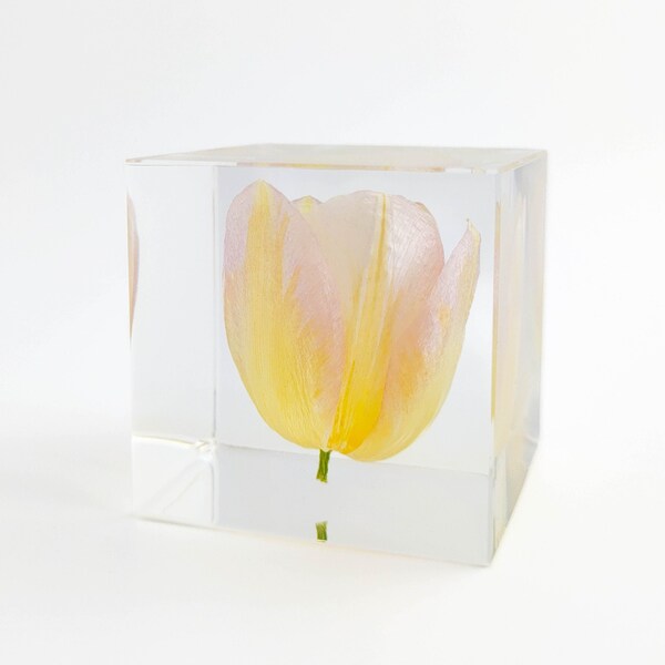 Purple Tulip Decor - Etsy
