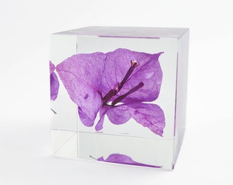 Real Pink Bougainvillea Resin Cube, Bougainvillea Ornament, Resin Paperweight, Gift for Her, Gift for Mom, Home Decor, Natural Gift