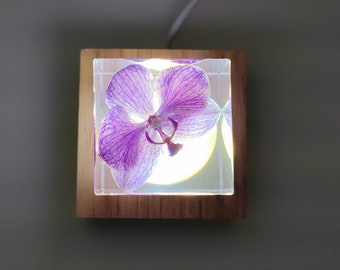 Real Purple Orchid Cube, Resin Paperweight, Flower Lamp, Resin Lamp, Gift for Her, Home Decor, Gift for Friends, Real Flower Gift