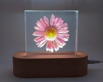 Bloque de resina de Gerbera rosa real, luz nocturna de flores, margarita de Gerbera, pisapapeles de resina, regalos de amigos, adorno de amigo, adorno familiar