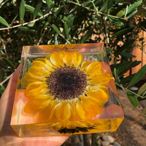 Real Sunflower Block, Resin Paperweight, Sunflower Night Light, Sunflower Ornament, Natural Gift, Gift for Her, Home Decor, Birthday Gift image 9